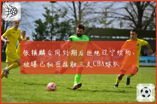 张镇麟合同到期后拒绝辽宁续约，被曝已秘密接触三支CBA球队
